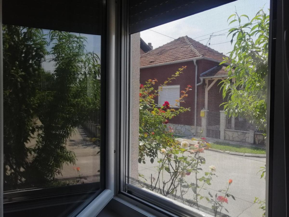 Apartman Nana Jagodina Exterior foto