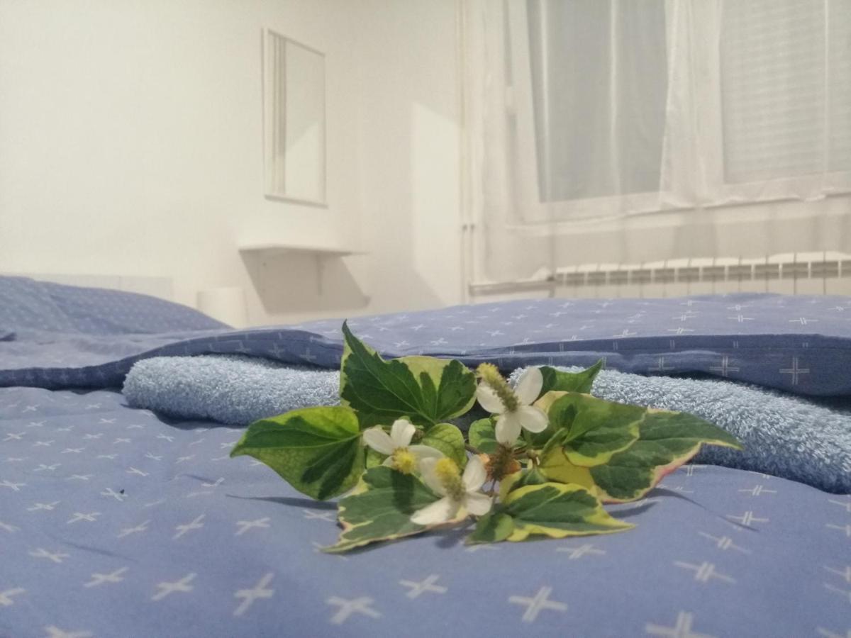 Apartman Nana Jagodina Exterior foto